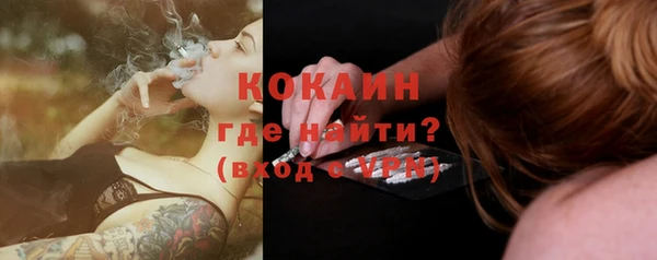 гидра Кинешма