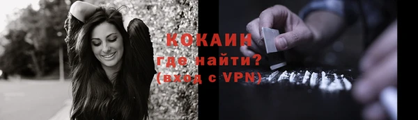 винт Каменка