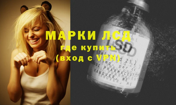 винт Каменка
