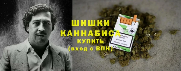 винт Каменка