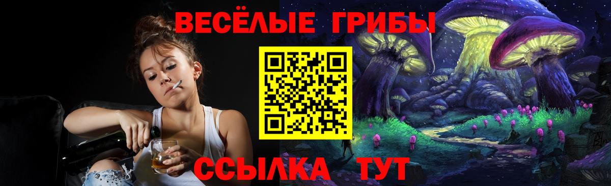 Галлюциногенные грибы Psilocybe Обнинск
